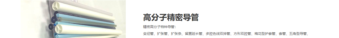 利来国国际网络网站建设案例