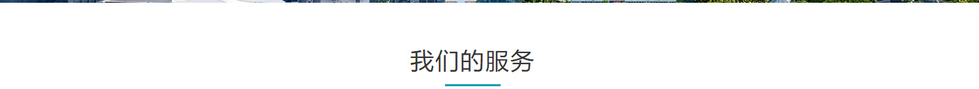 利来国国际网络网站案例