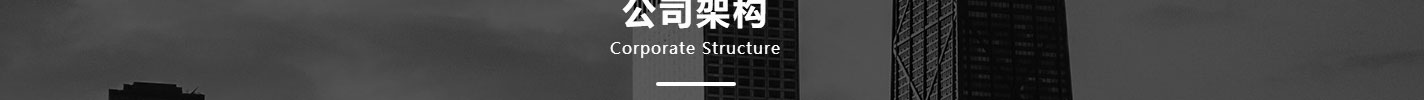 利来国国际网络网站案例